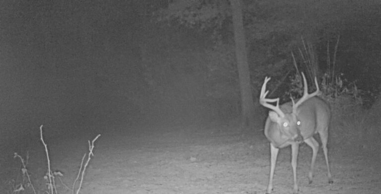 2303:101822:38F:MARK 01   :6