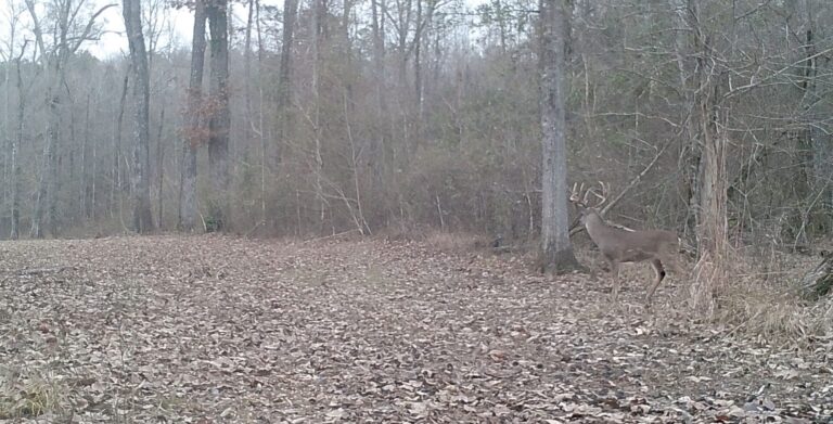 0820:121822:32F:MARK 01   :6