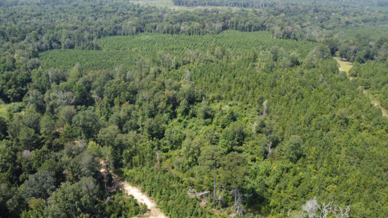 DCIM101MEDIADJI_0885