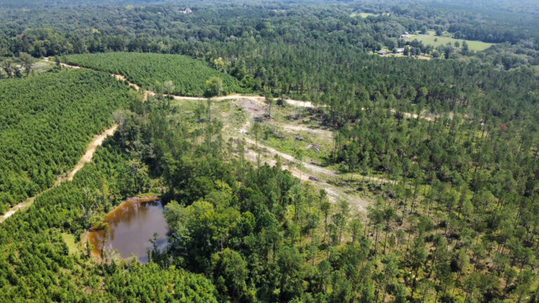 DCIM101MEDIADJI_0889