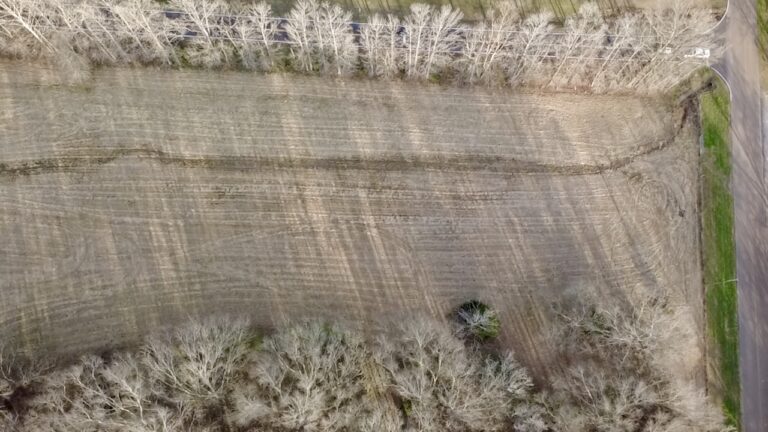 2026-02-19-16-25-34-131