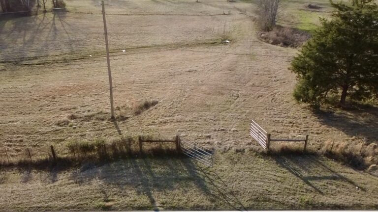 2026-02-19-16-29-58-376