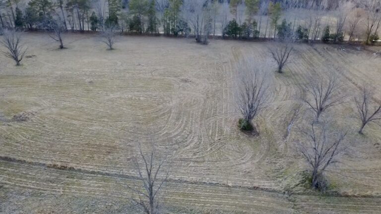 2026-02-19-16-31-16-069