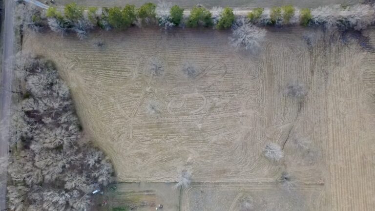 2026-02-19-16-32-47-946