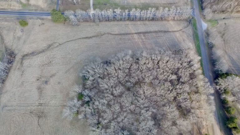 2026-02-19-16-33-30-807