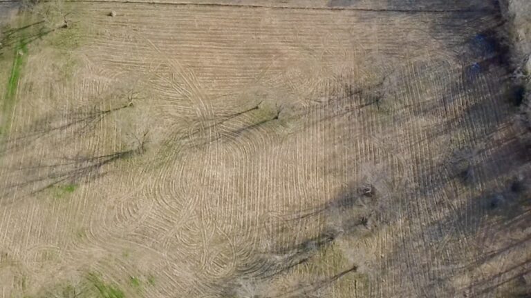 2026-02-19-16-35-20-973