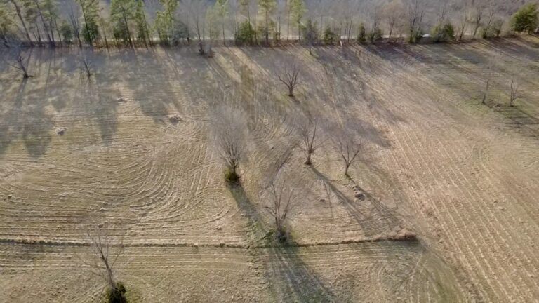 2026-02-19-16-40-56-684