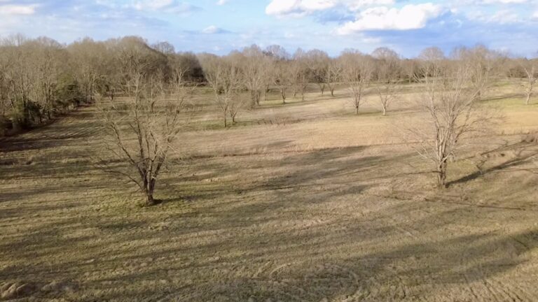 2026-02-19-16-43-12-228