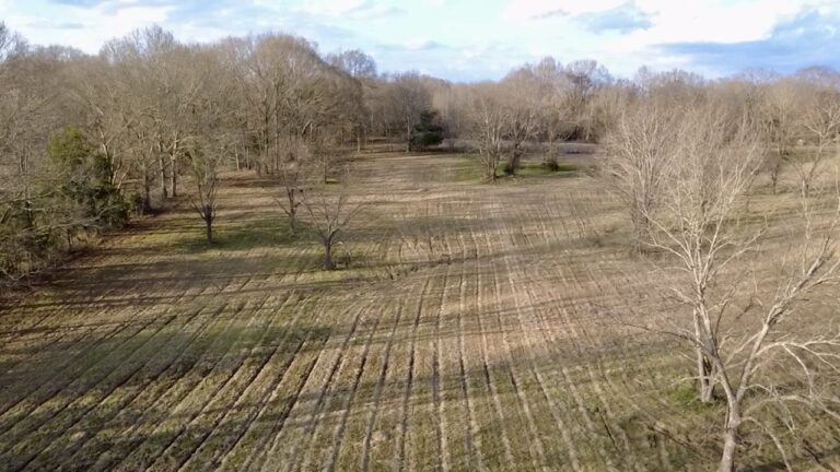 2026-02-19-16-43-27-115