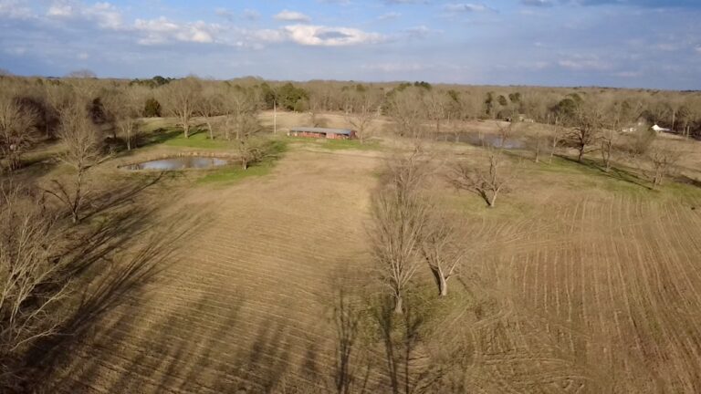 2026-02-19-16-43-43-864