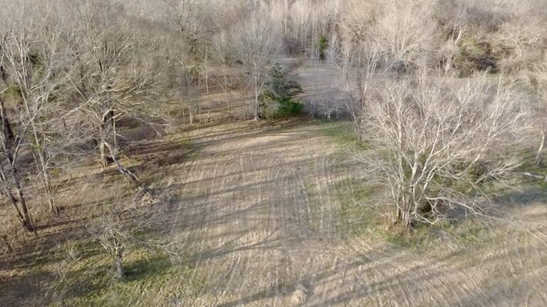 2026-02-19-16-43-55-519