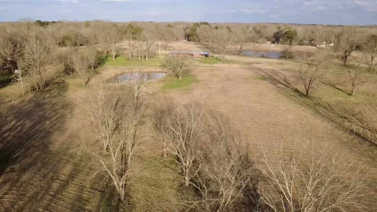 2026-02-19-16-44-02-718