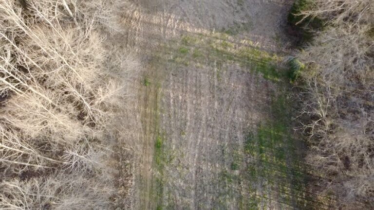 2026-02-19-16-44-47-557