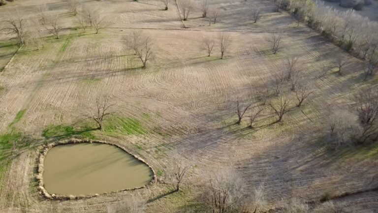 2026-02-19-16-45-26-550