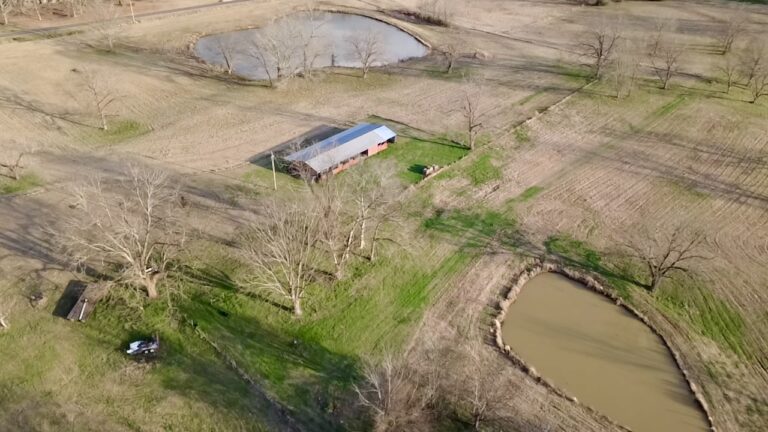 2026-02-19-16-45-32-152