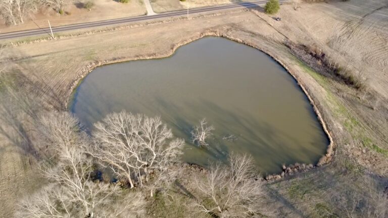 2026-02-19-16-46-03-949