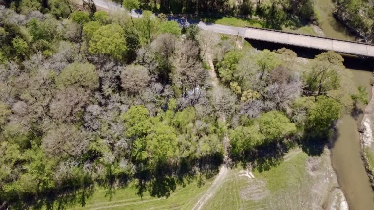 2026-03-23-12-37-29-502