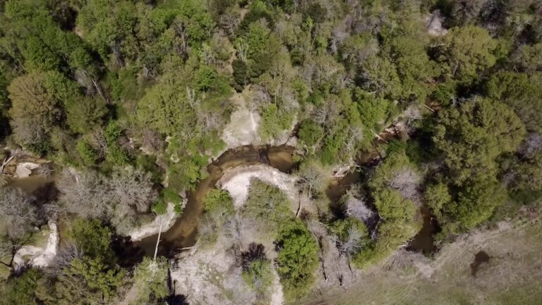 2026-03-23-12-37-37-815