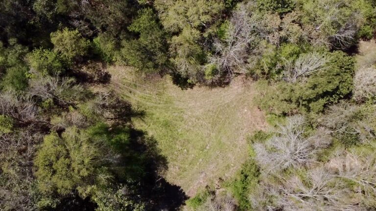 2026-03-23-12-39-53-920