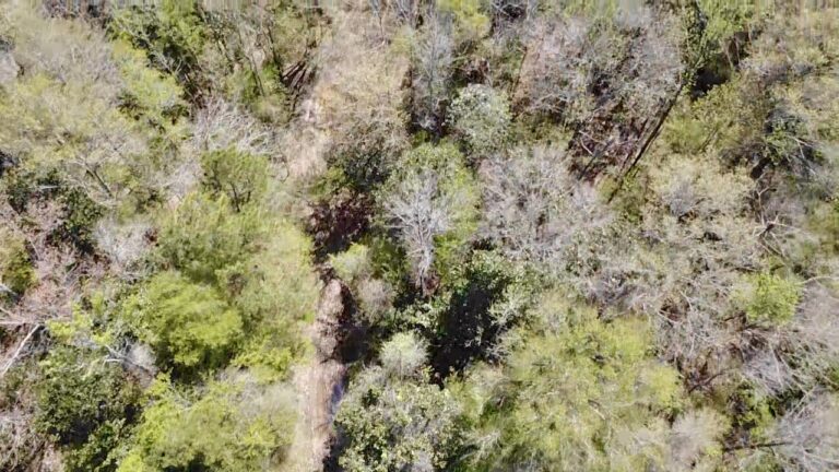 2026-03-23-12-40-52-715