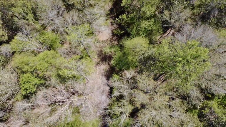 2026-03-23-12-41-14-839