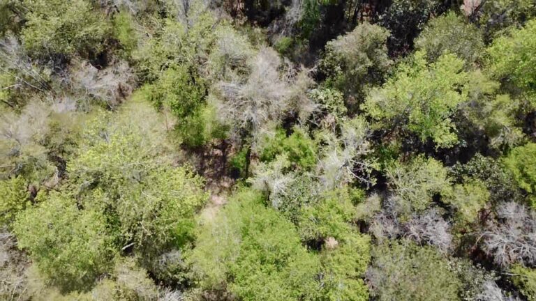 2026-03-23-12-41-33-217