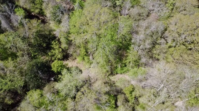 2026-03-23-12-43-12-112