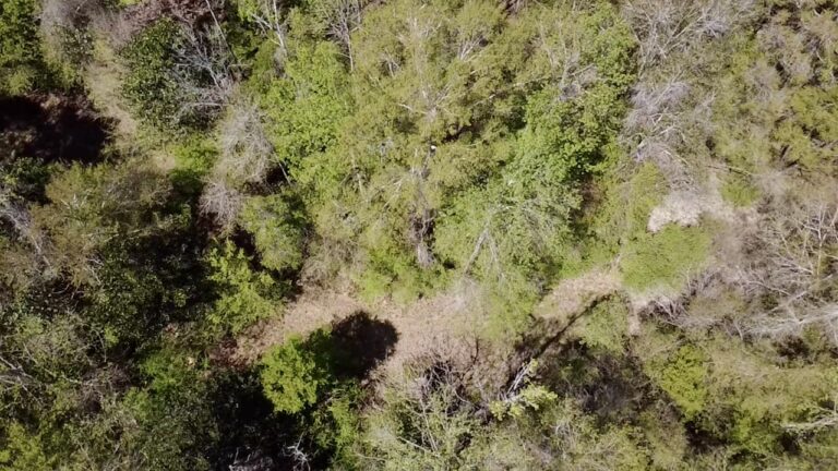 2026-03-23-12-43-37-774