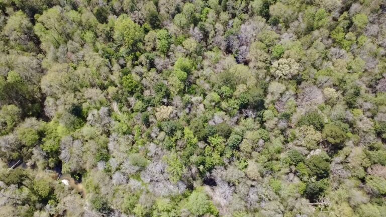 2026-03-23-12-45-32-307