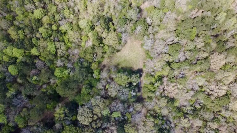 2026-03-23-12-47-12-825