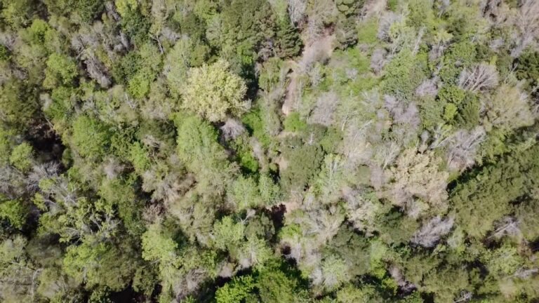 2026-03-23-12-47-37-579