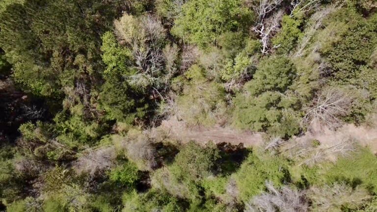 2026-03-23-12-47-57-533