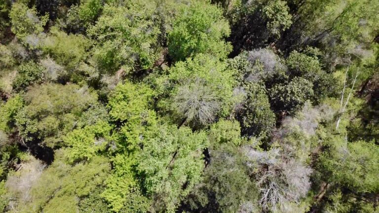 2026-03-23-12-49-50-490