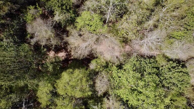 2026-03-23-12-54-32-119