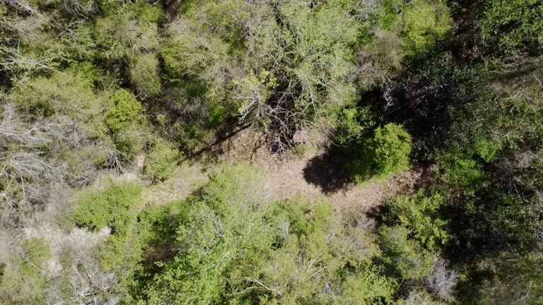 2026-03-23-12-55-03-983