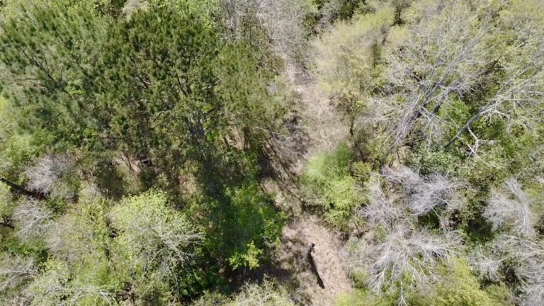 2026-03-23-12-55-43-192