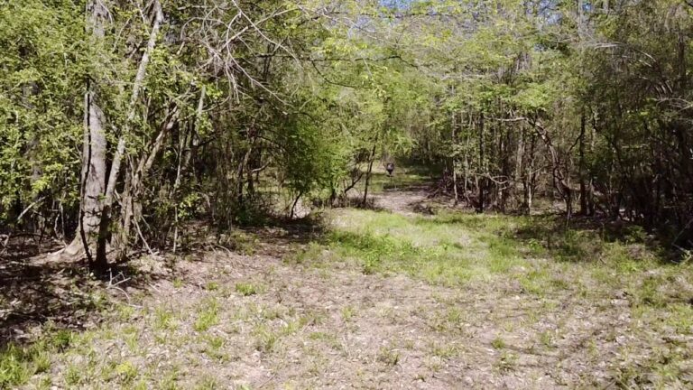 2026-03-23-12-56-48-093