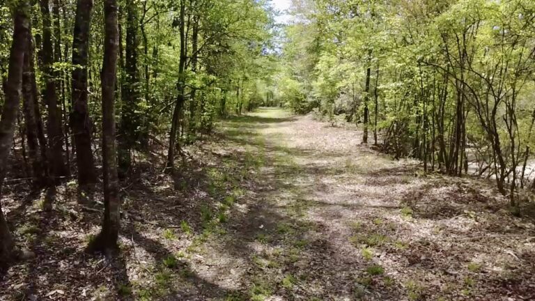 2026-03-23-13-02-58-333