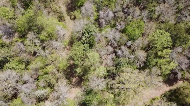 2026-03-23-13-03-49-239