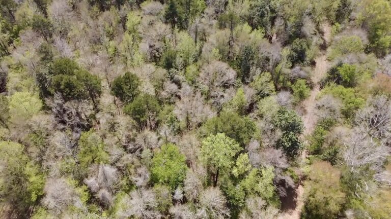 2026-03-23-13-03-56-596