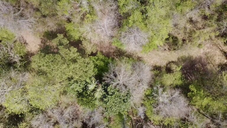 2026-03-23-13-04-18-601