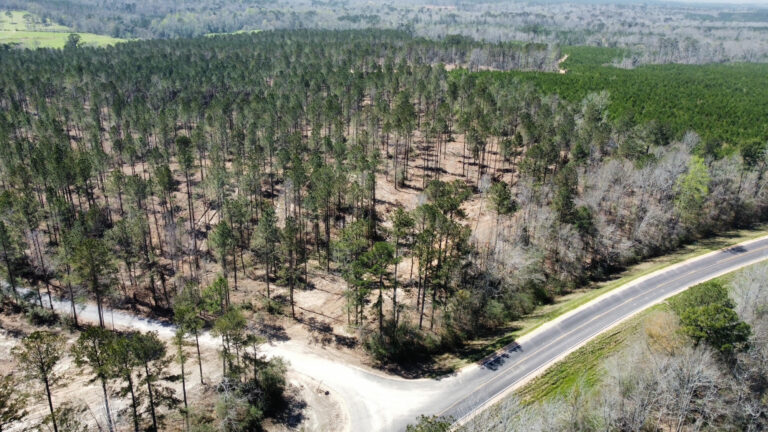 DCIM101MEDIADJI_0692