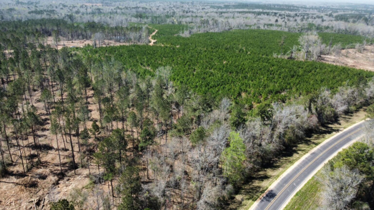 DCIM101MEDIADJI_0693