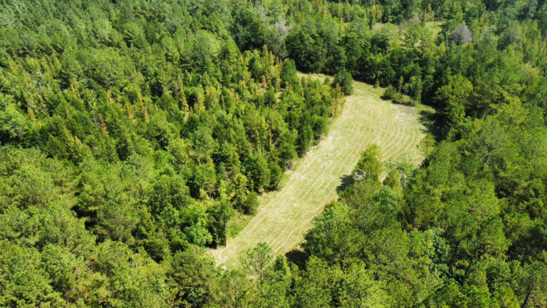 DCIM102MEDIADJI_0025