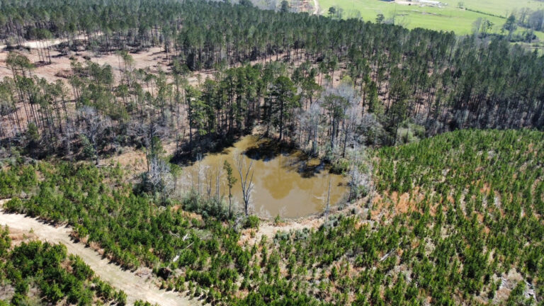 DCIM101MEDIADJI_0701