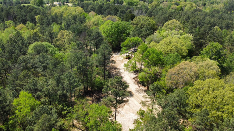 DCIM101MEDIADJI_0738