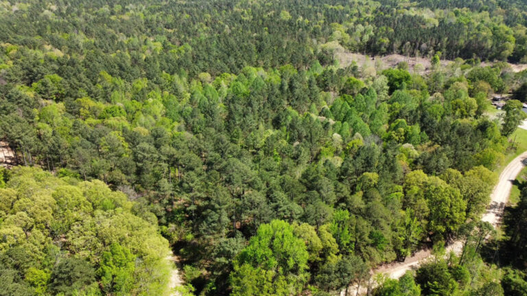 DCIM101MEDIADJI_0739