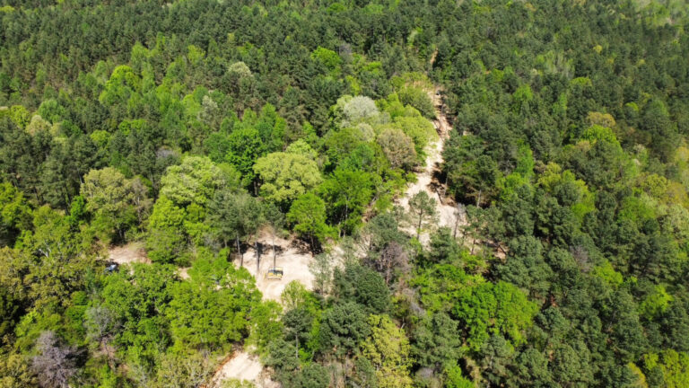 DCIM101MEDIADJI_0741