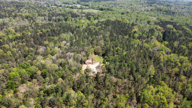 DCIM101MEDIADJI_0744