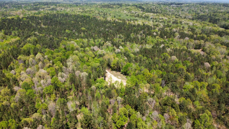 DCIM101MEDIADJI_0746